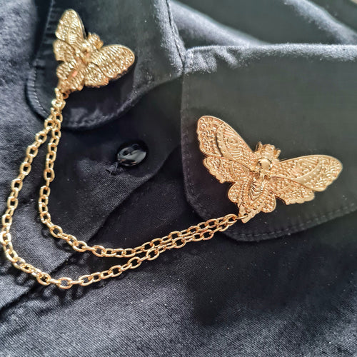 Gold skull moth collar pin