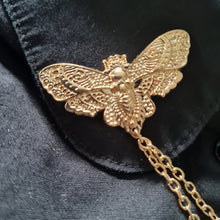 Load image into Gallery viewer, Gold skull moth collar pin