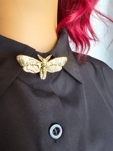 Light gold moth button cover