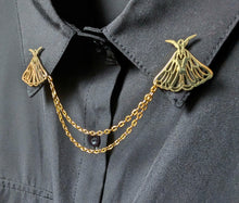 Load image into Gallery viewer, Gold moth collar pin