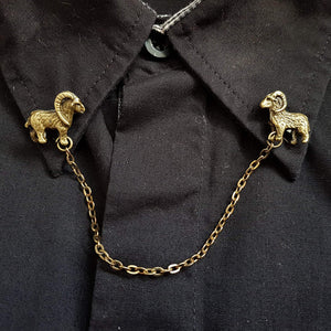 Ram collar pin